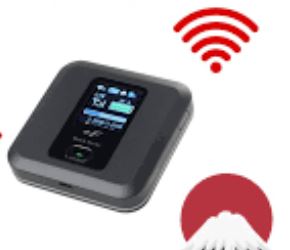 Pocket Wifi Set (SIM + Device)